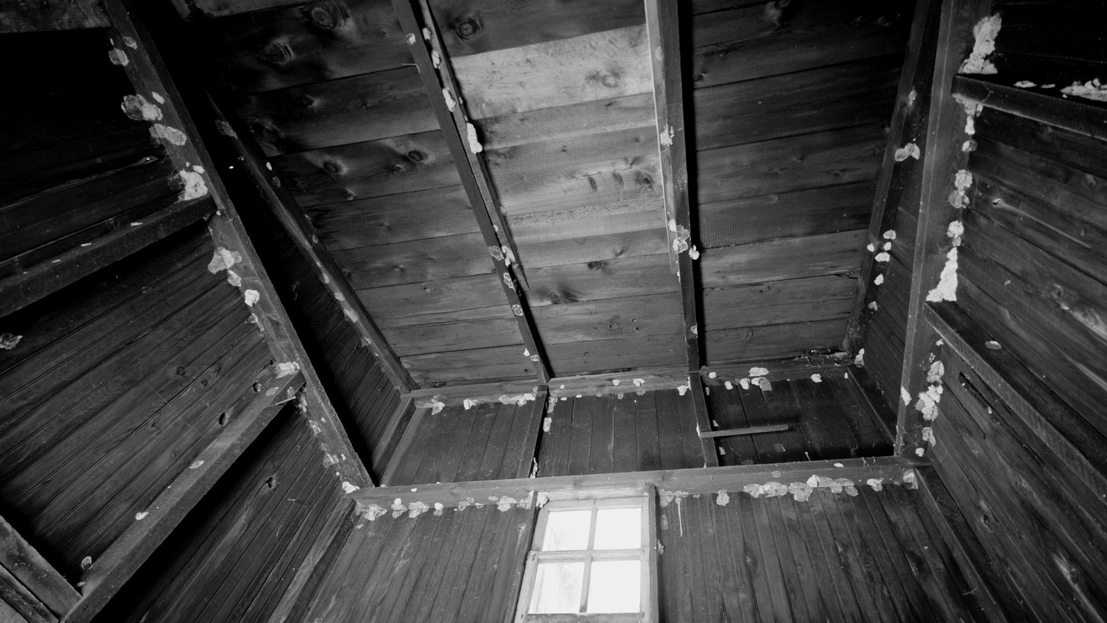 Looking up into a wooden plank ceiling with exposed rafters and a small four-pane window, light patches along the beams